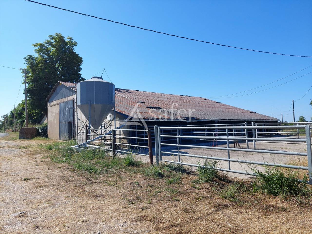 Azienda agricola In vendita Charente-Maritime