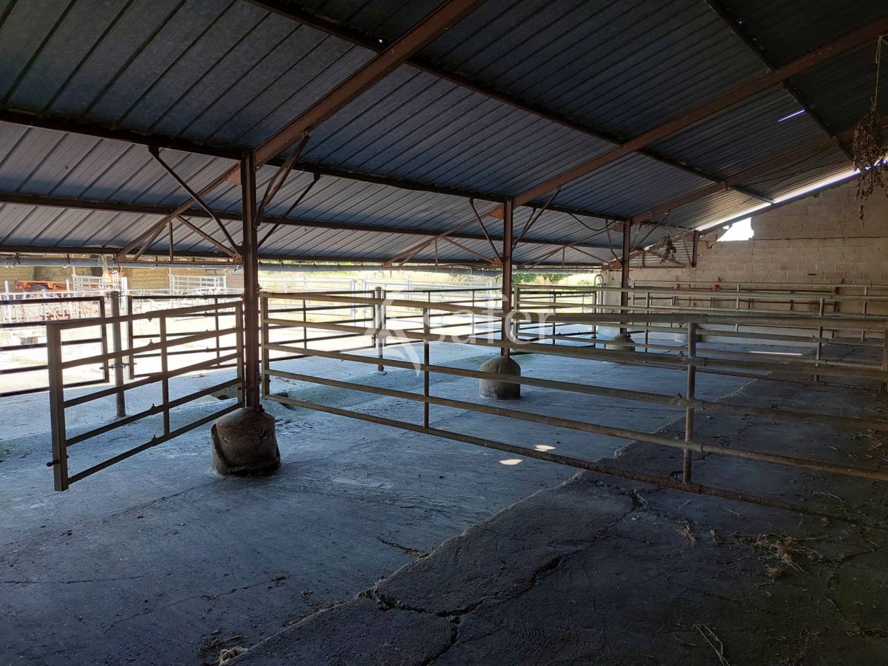 Azienda agricola In vendita Charente-Maritime