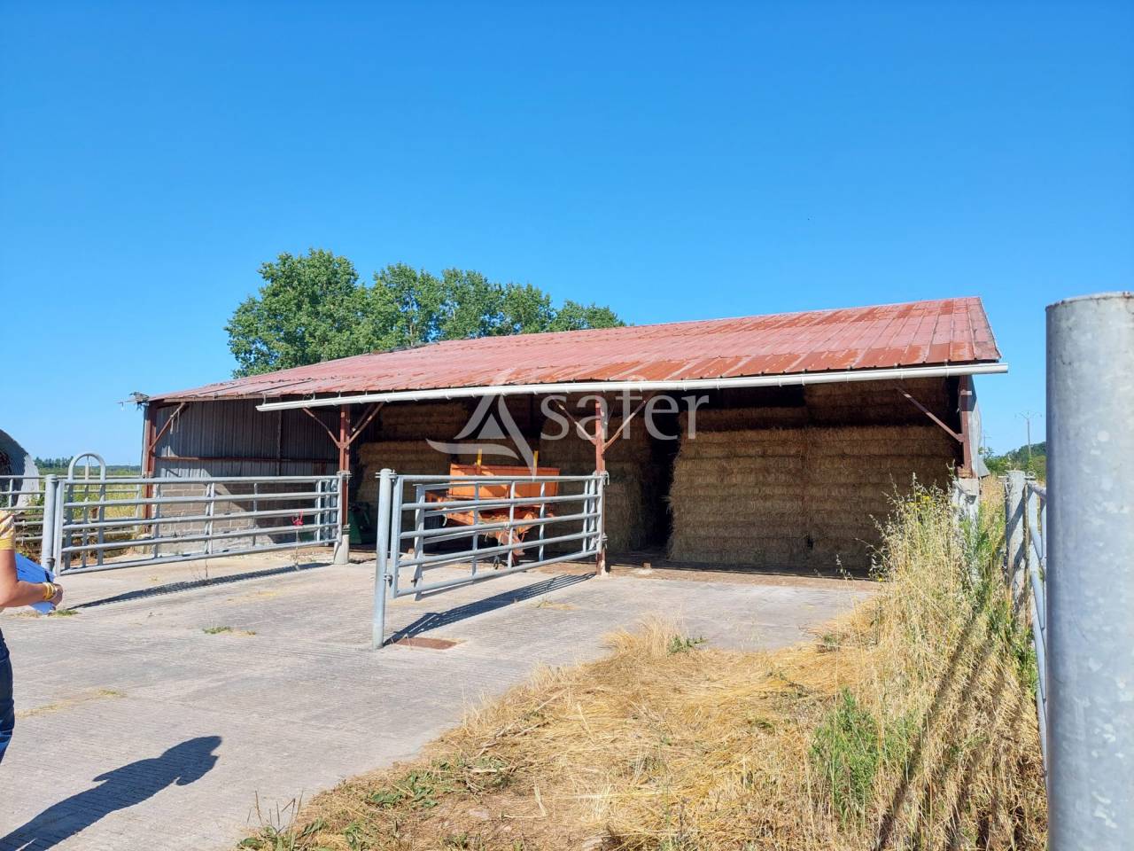 Azienda agricola In vendita Charente-Maritime
