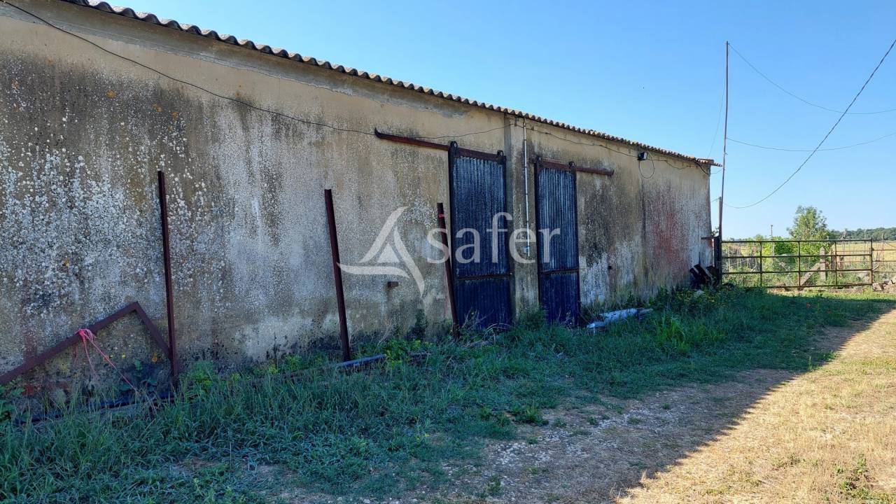 Azienda agricola In vendita Charente-Maritime