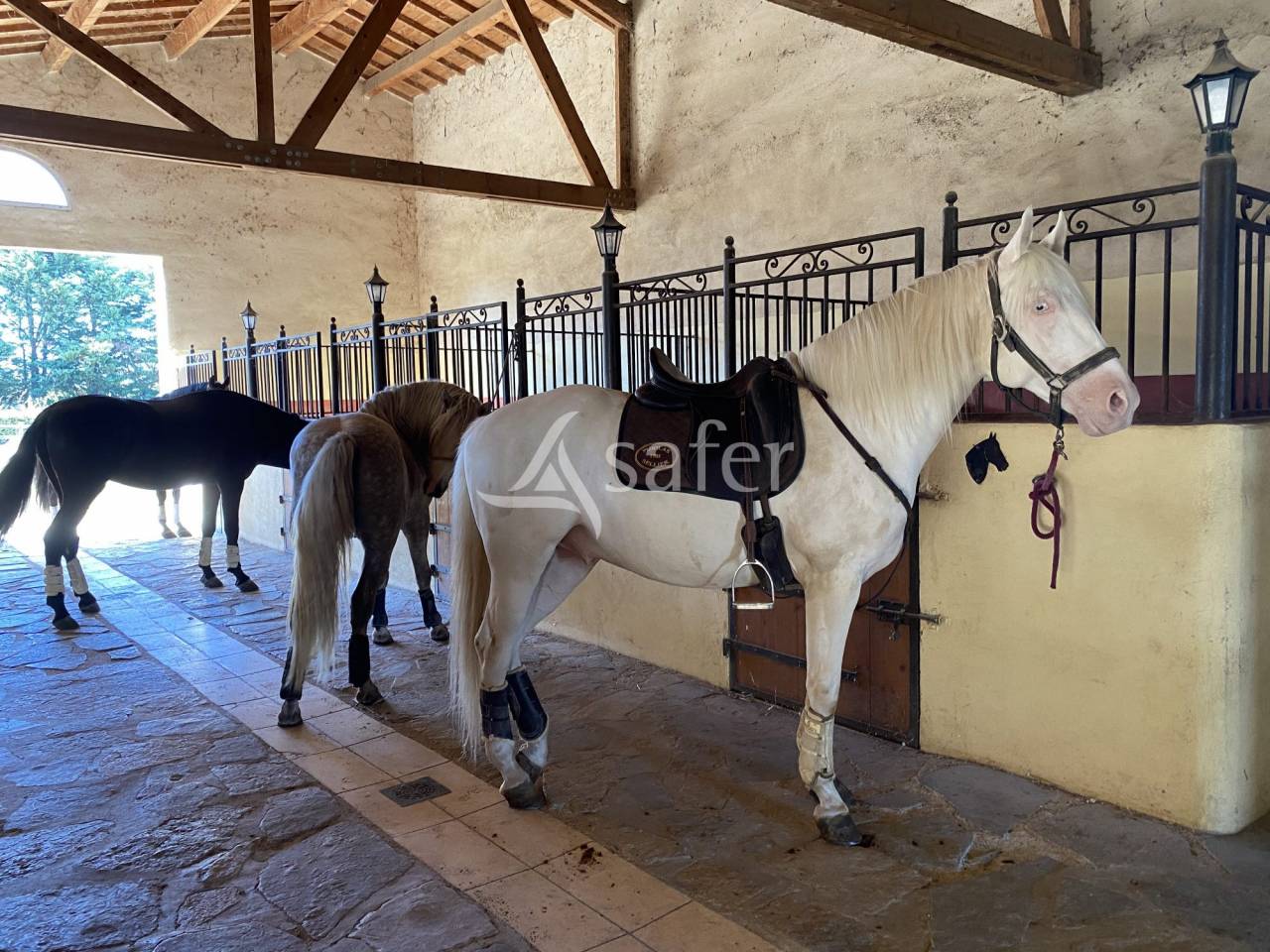 Propriet&agrave; equestre In vendita H&eacute;rault