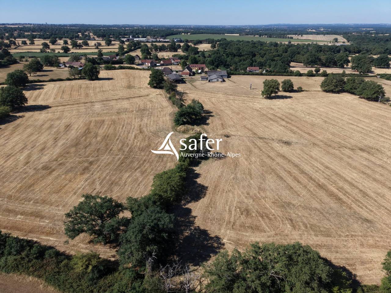 Azienda agricola In vendita Allier