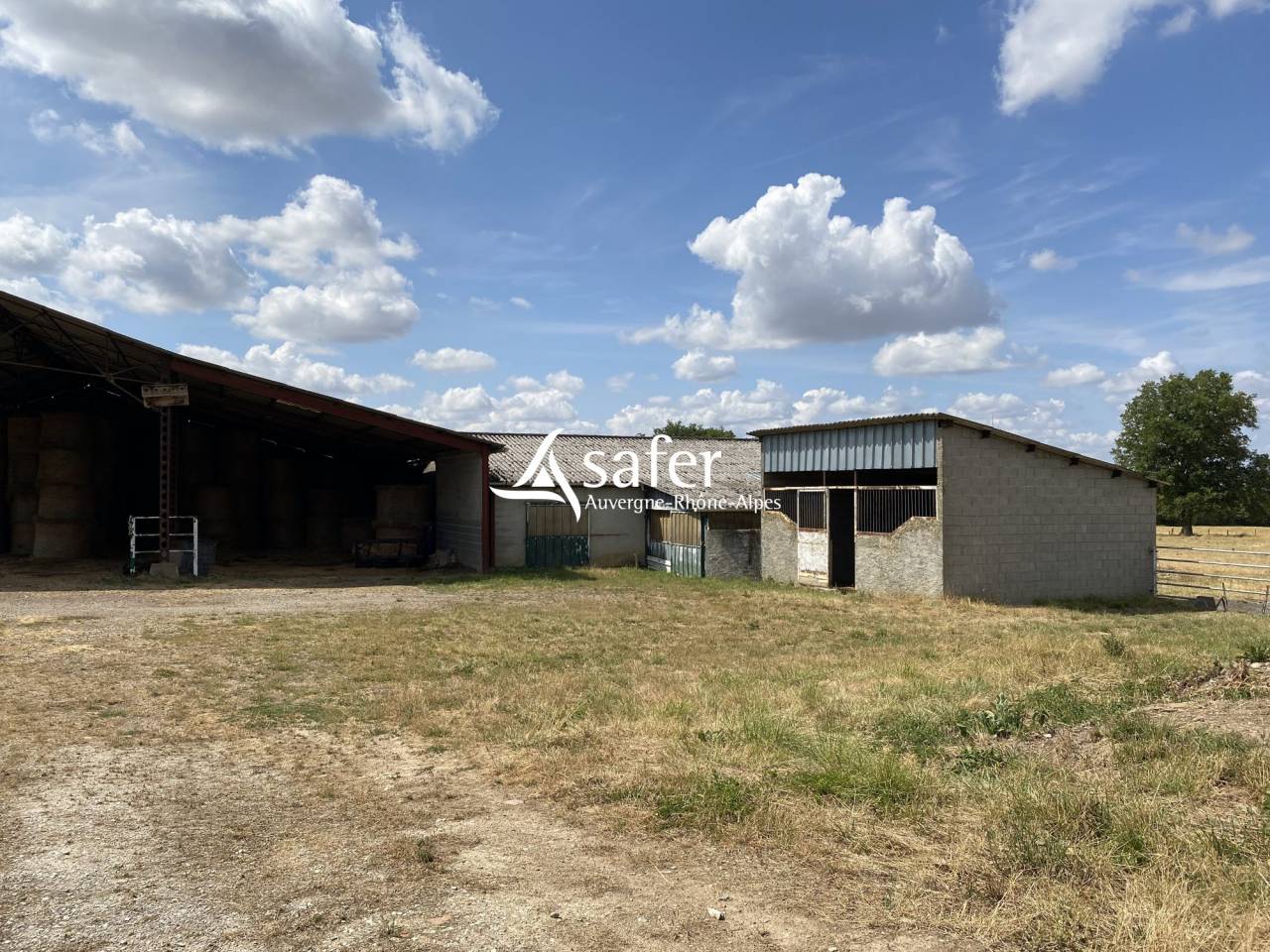 Azienda agricola In vendita Allier