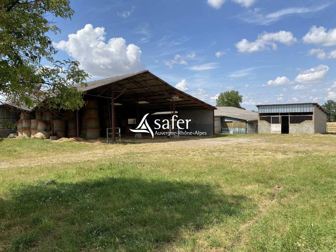 Azienda agricola In vendita Allier