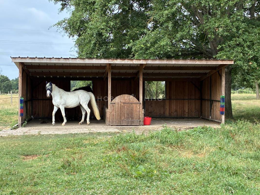 Propriet&agrave; equestre In vendita Sarthe