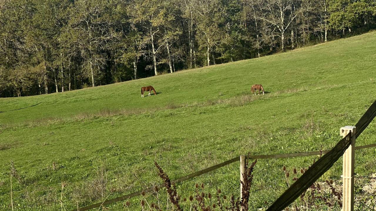 Propriet&agrave; equestre In vendita Lot-et-Garonne