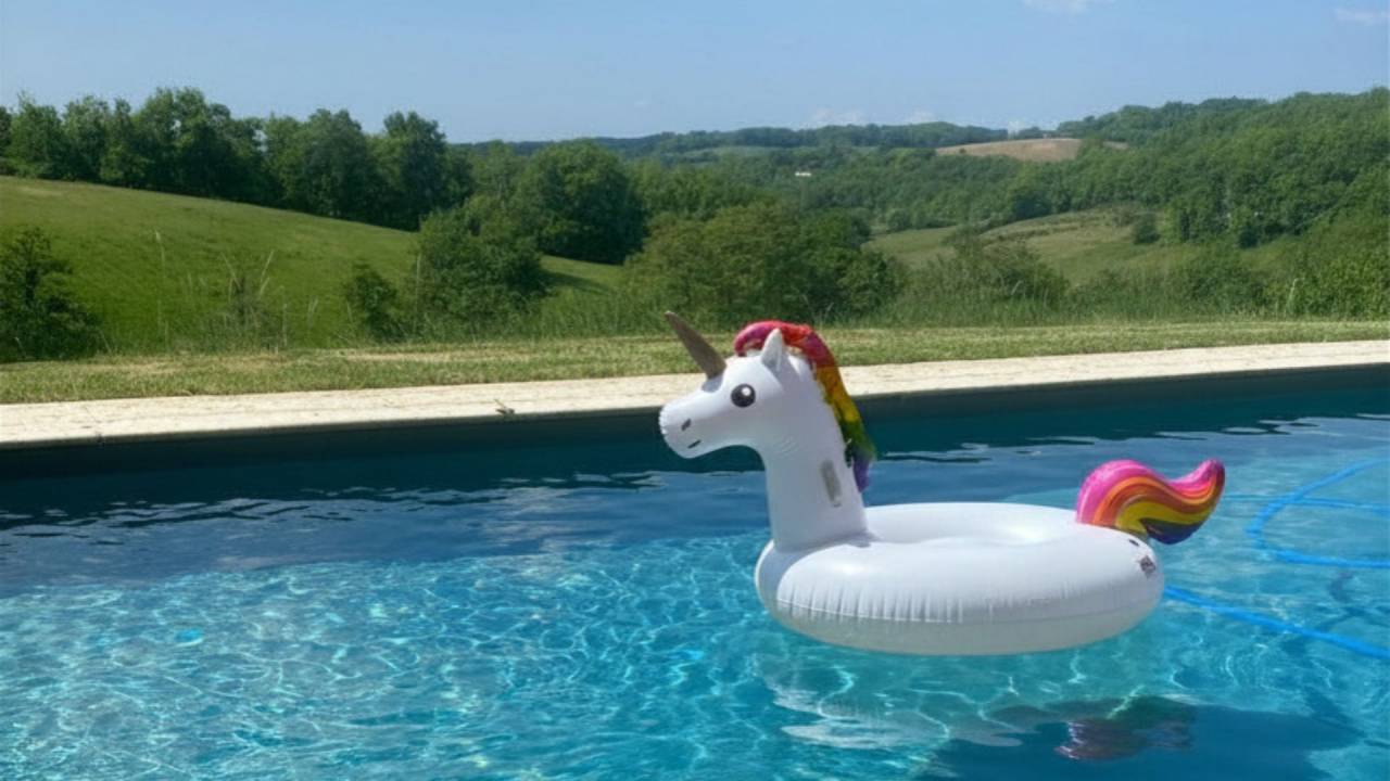 Propriet&agrave; equestre In vendita Lot-et-Garonne