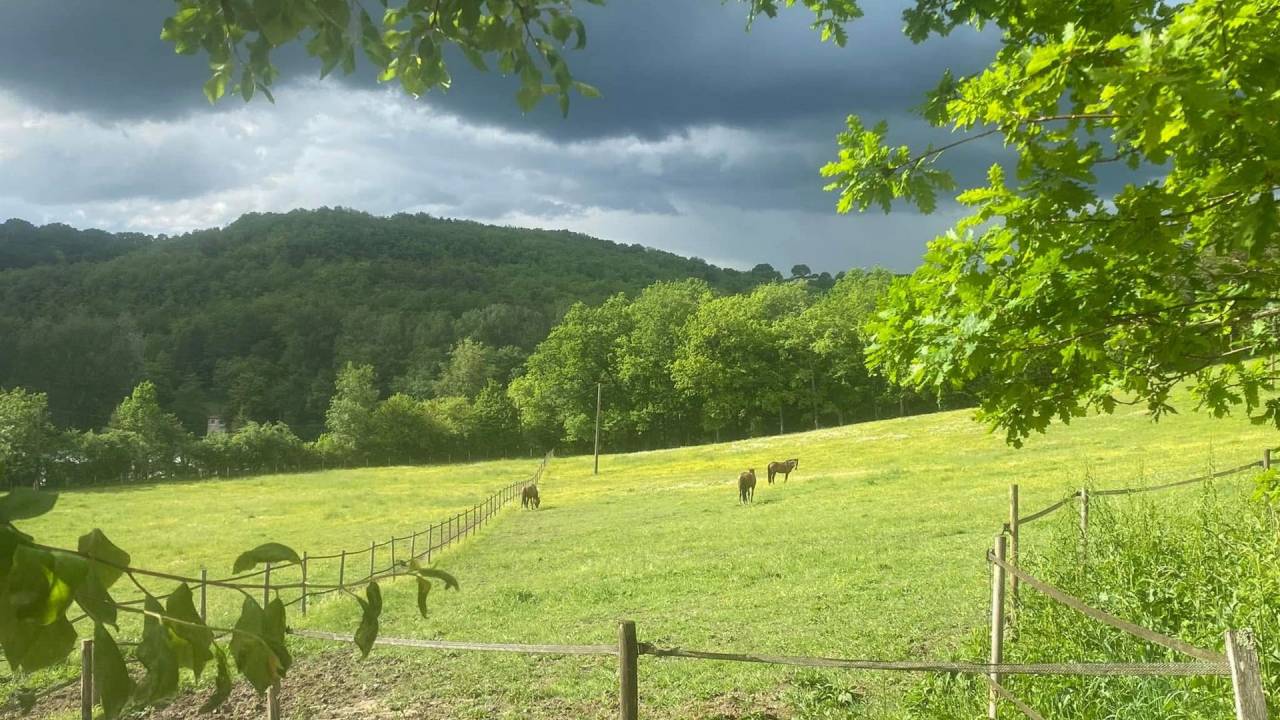 Propriet&agrave; equestre In vendita Lot-et-Garonne