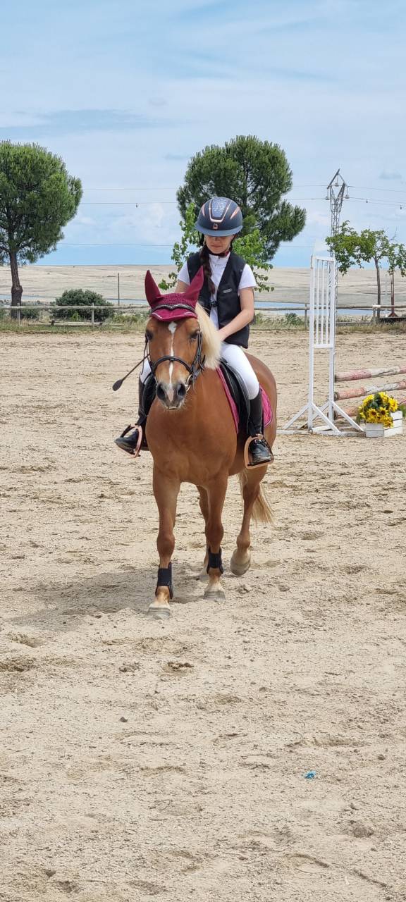 Intero Shetland In vendita 2014 Sauro
