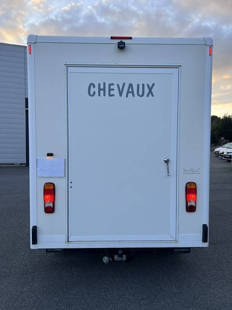 Trailer - Altra marca - OPEL MOVANO RUCEL 2 Cavalli 2011 Occasione