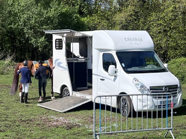 Trailer - Altra marca - OPEL MOVANO RUCEL 2 Cavalli 2011 Occasione