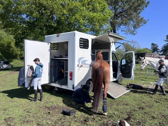 Trailer - Altra marca - OPEL MOVANO RUCEL 2 Cavalli 2011 Occasione
