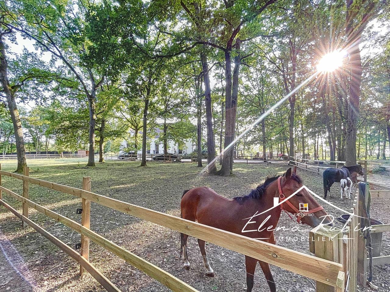 Bella dimora equestre In vendita Essonne