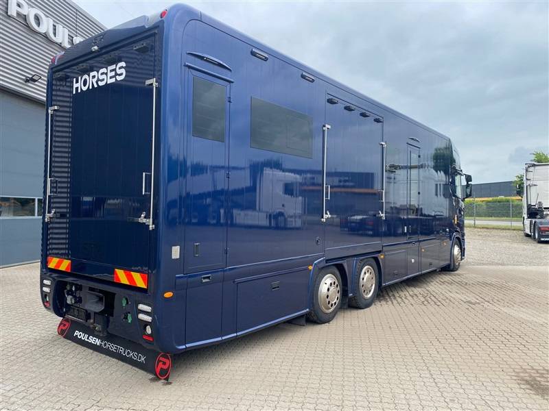 Camion per Cavalli Scania STX 2023 Occasione
