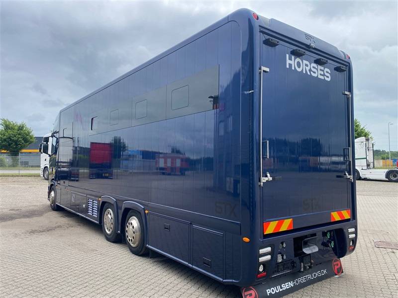 Camion per Cavalli Scania STX 2023 Occasione