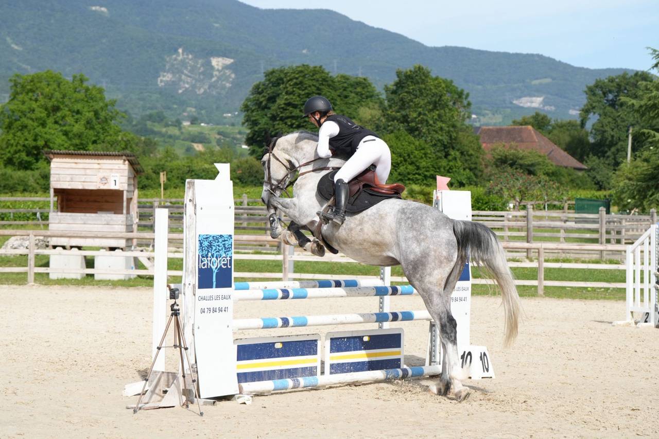 Cavalla Sella Francese In vendita 2020 Grigio ,  quilvaro de lyr