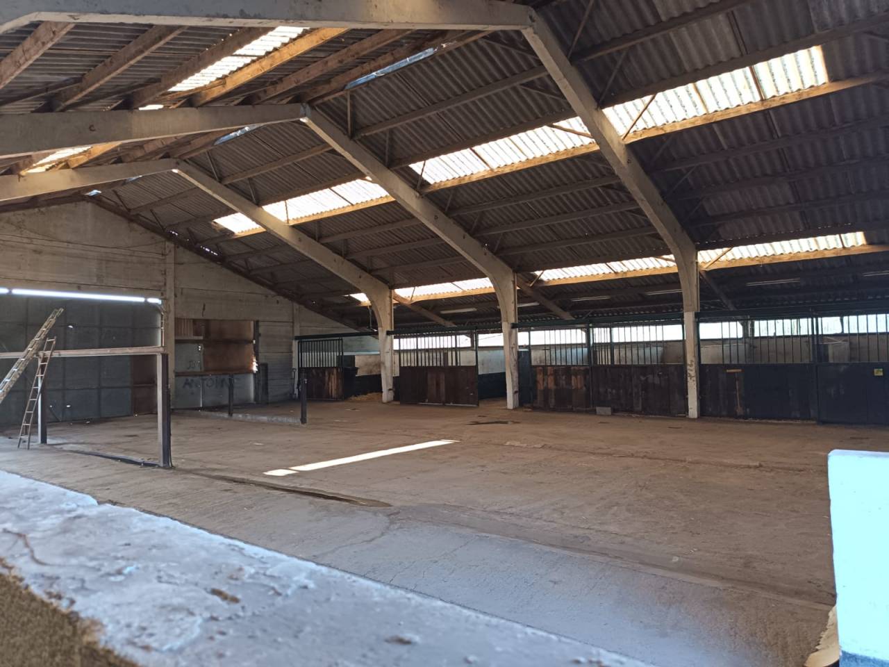 Bella dimora equestre In vendita Hainaut