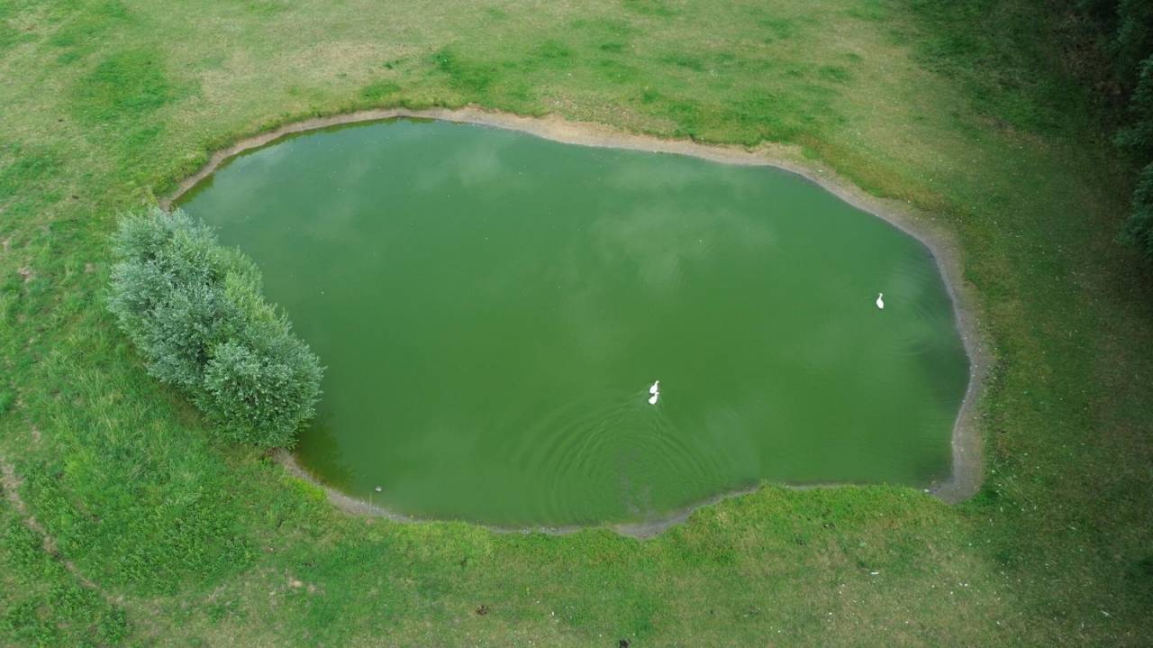Bella dimora equestre In vendita Hainaut