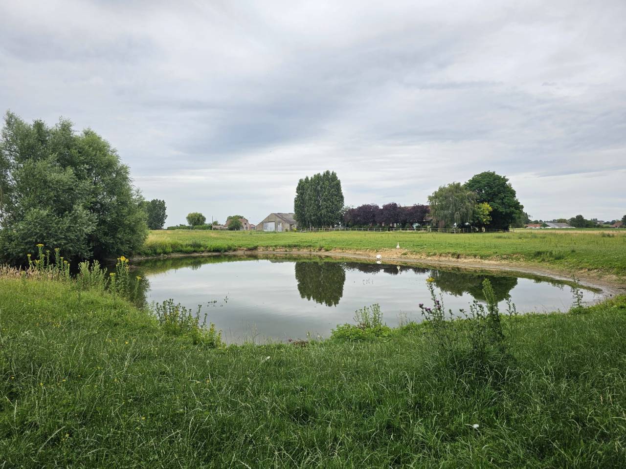Bella dimora equestre In vendita Hainaut