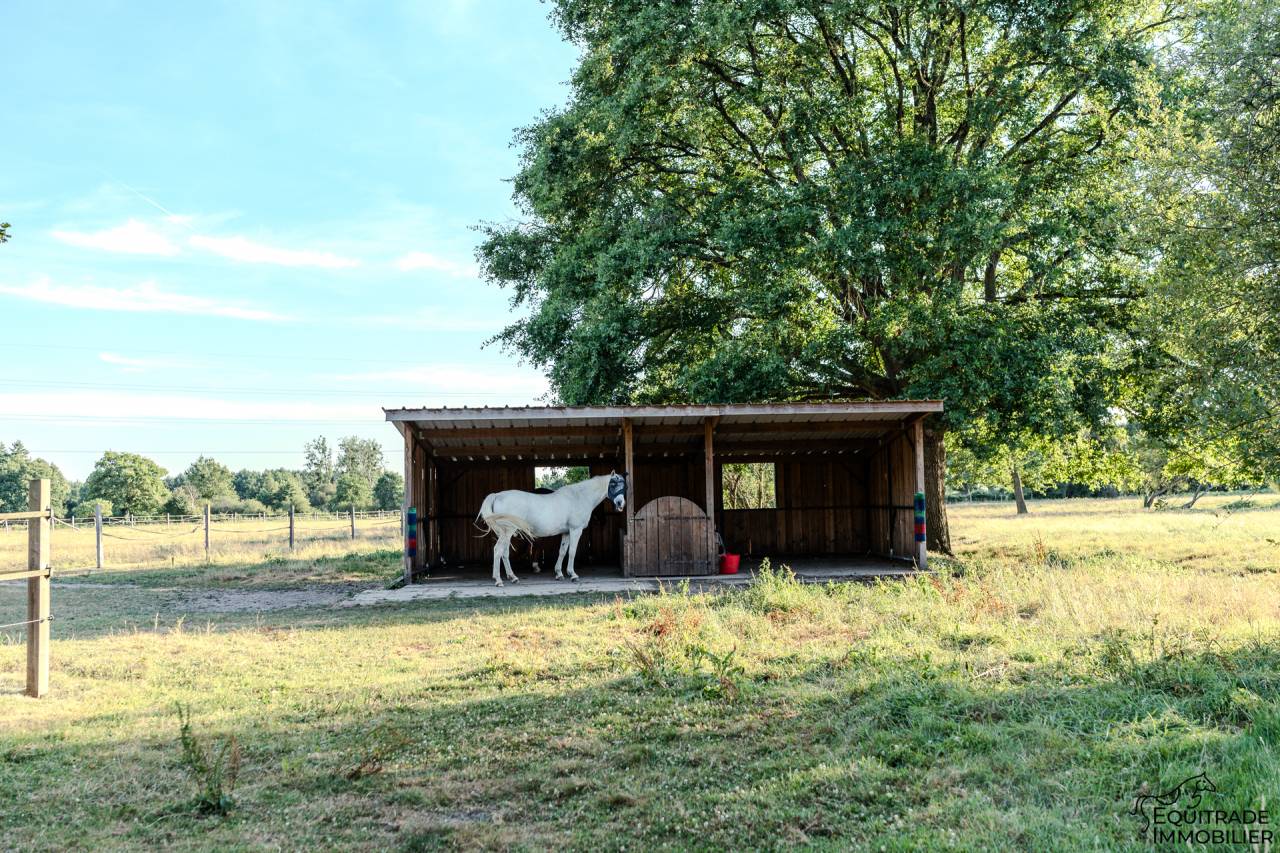 Bella dimora equestre In vendita Sarthe