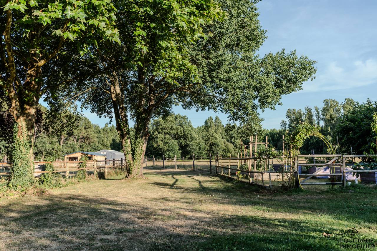 Bella dimora equestre In vendita Sarthe