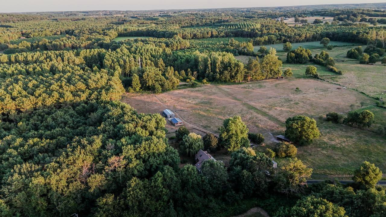 Bella dimora equestre In vendita Sarthe