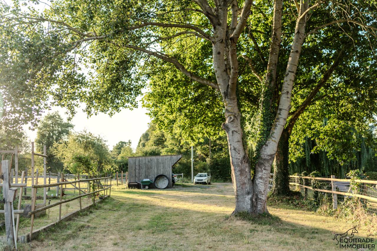 Bella dimora equestre In vendita Sarthe