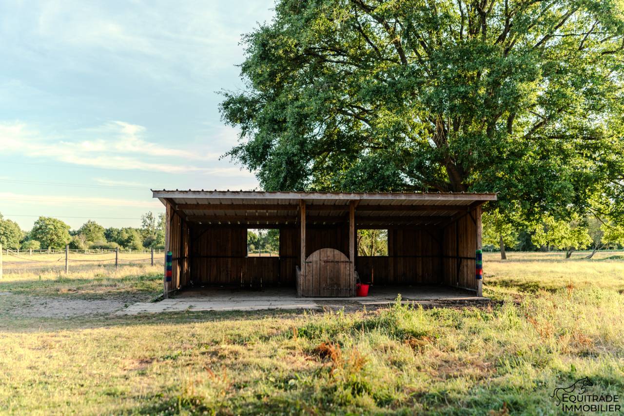Bella dimora equestre In vendita Sarthe