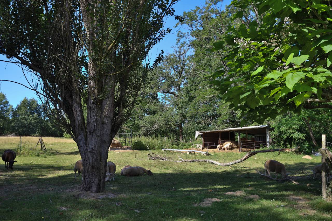 Propriet&agrave; equestre In vendita Gironde