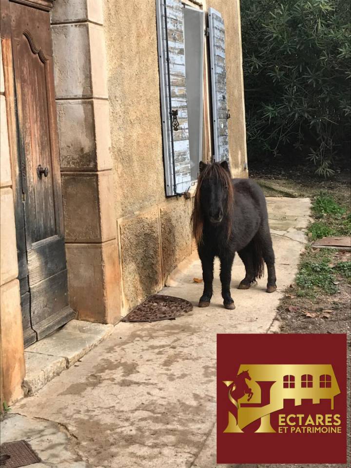 Alloggio equestre In vendita Var