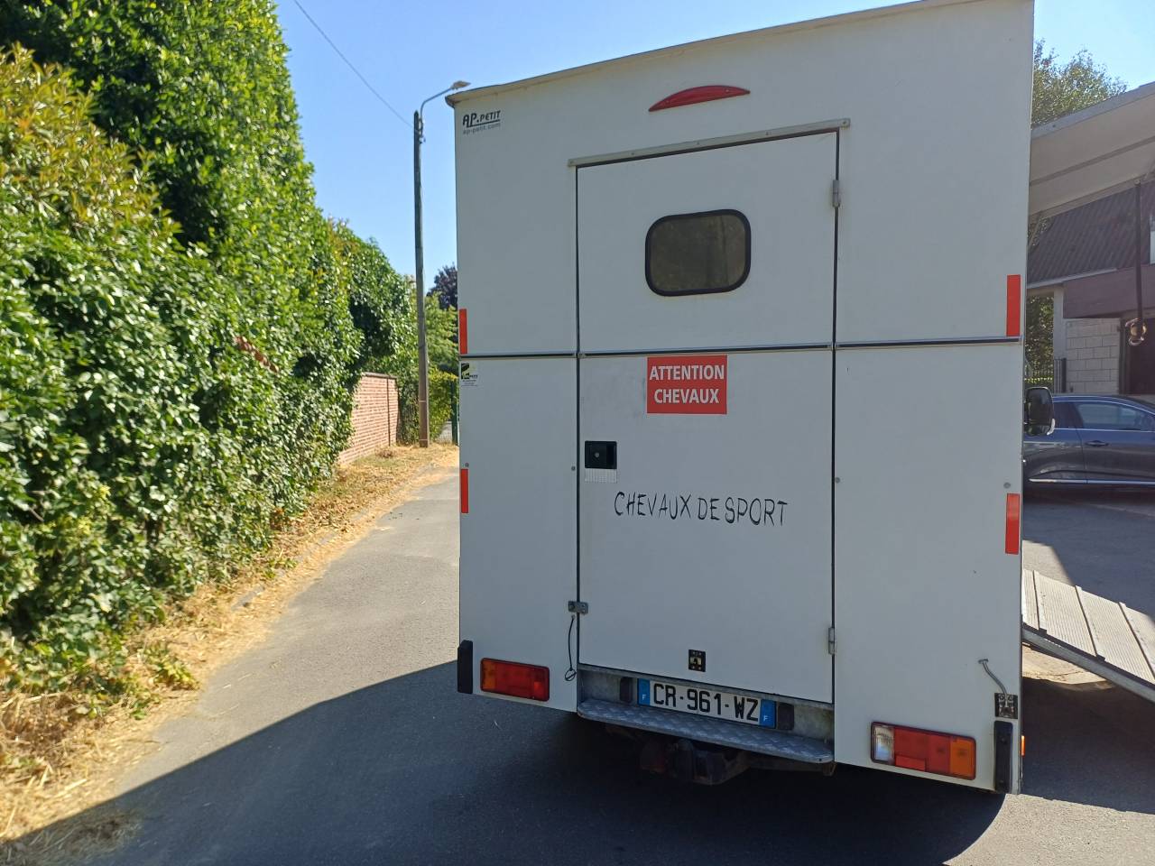 Van per Cavalli Renault Master 2013 Occasione