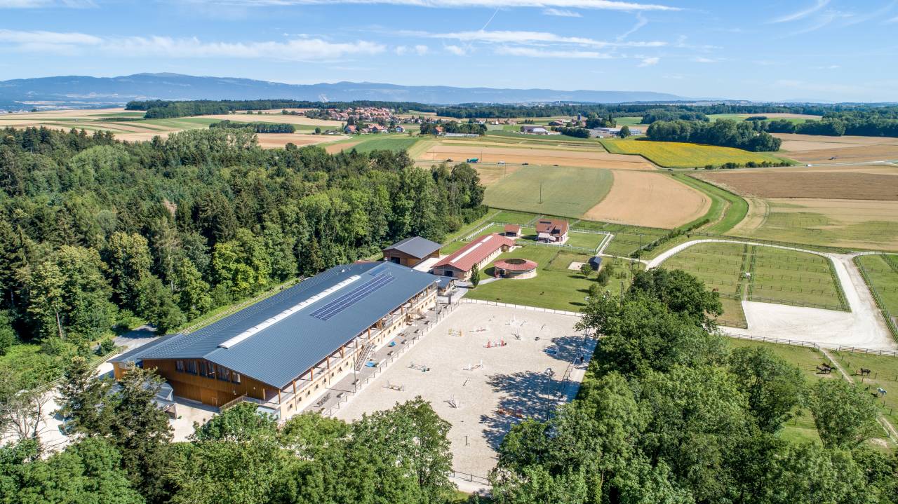 Uomo di scuderia - CDI Altro - Vaud Svizzera