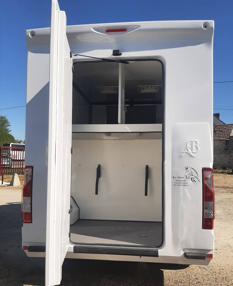 Van per Cavalli Renault Master 2023 Occasione