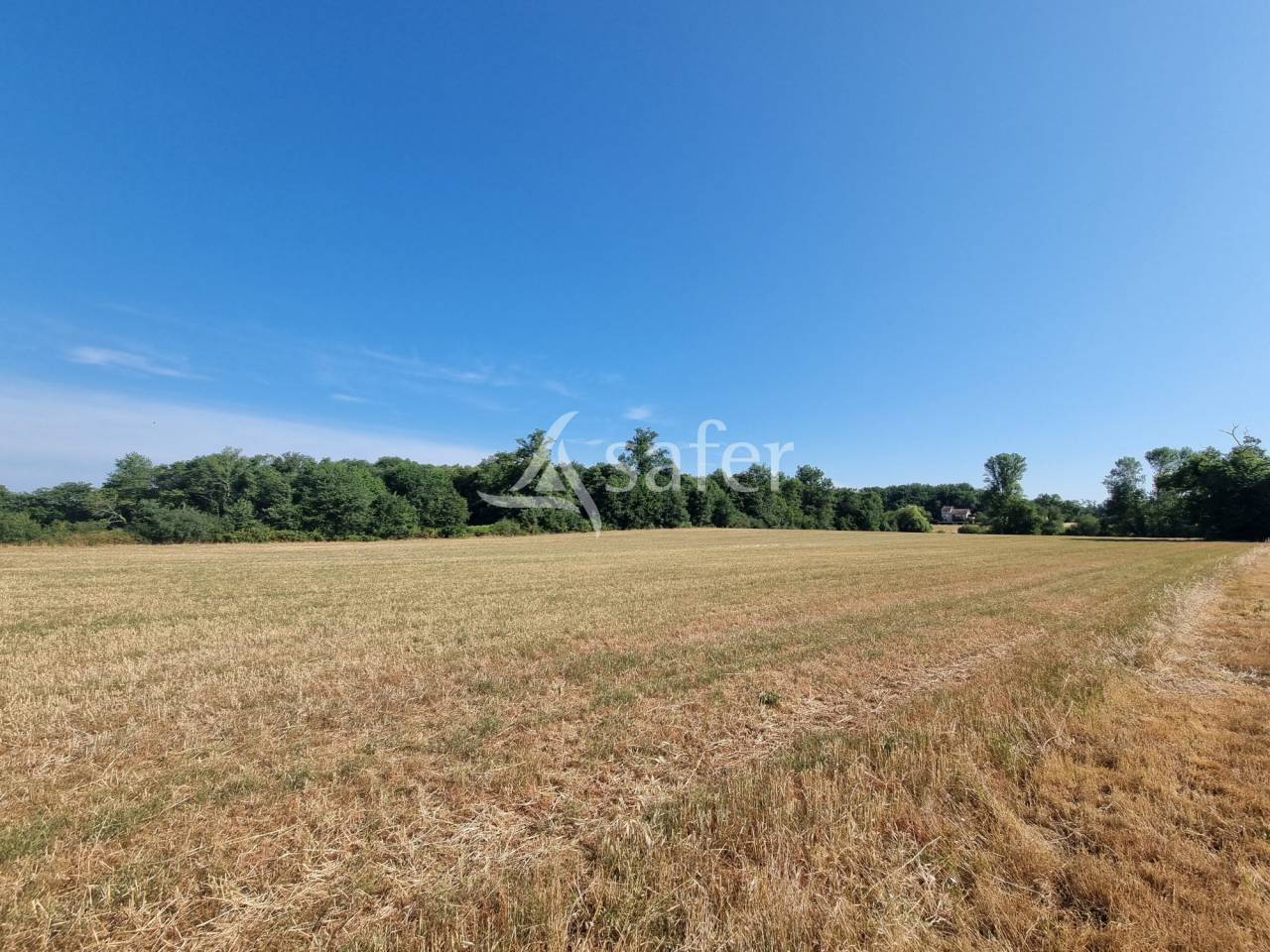 Propriet&agrave; rurale In vendita Lot