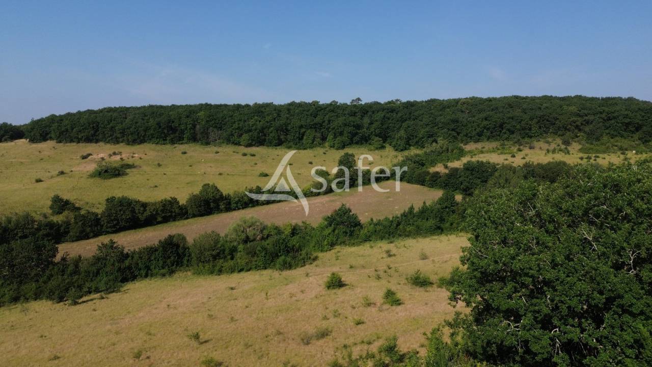 Azienda agricola In vendita Lot-et-Garonne