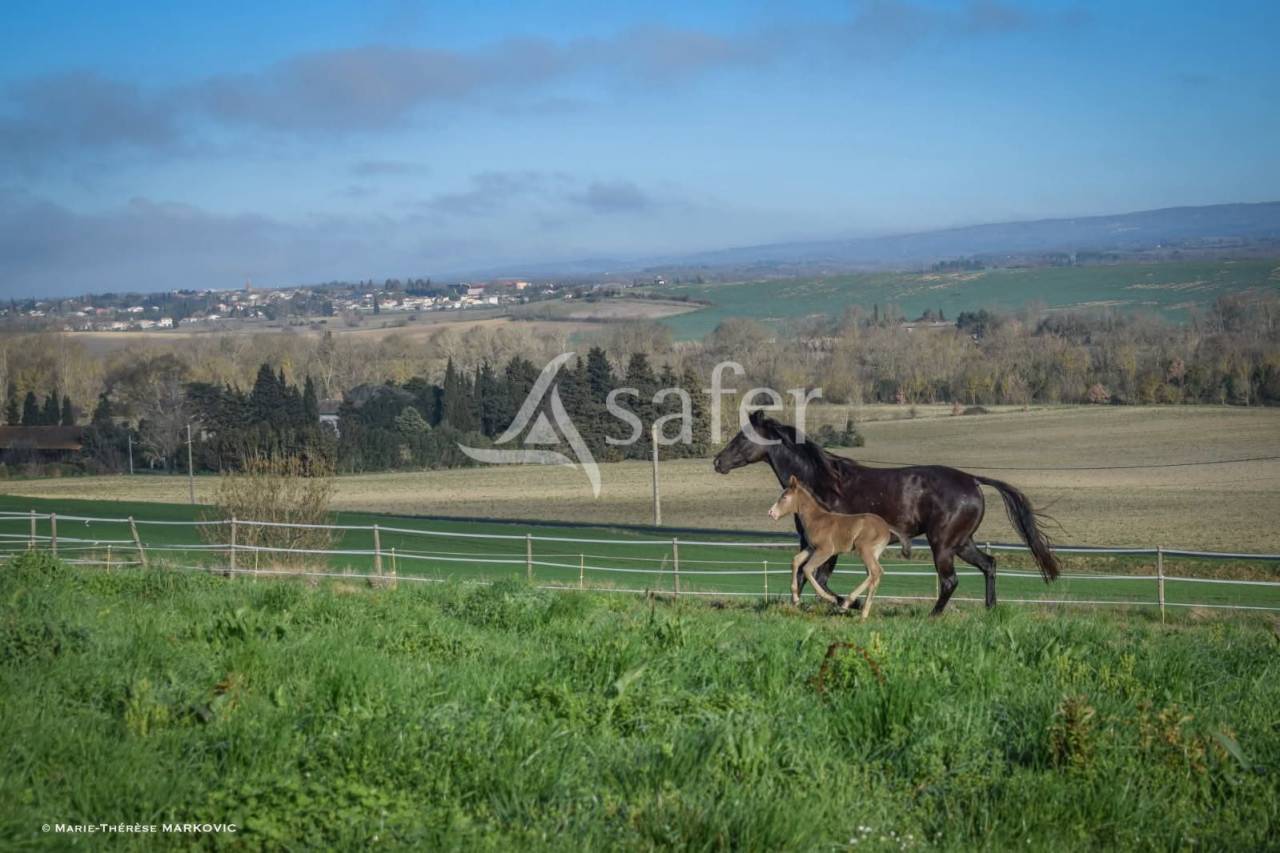 Propriet&agrave; equestre In vendita Aude