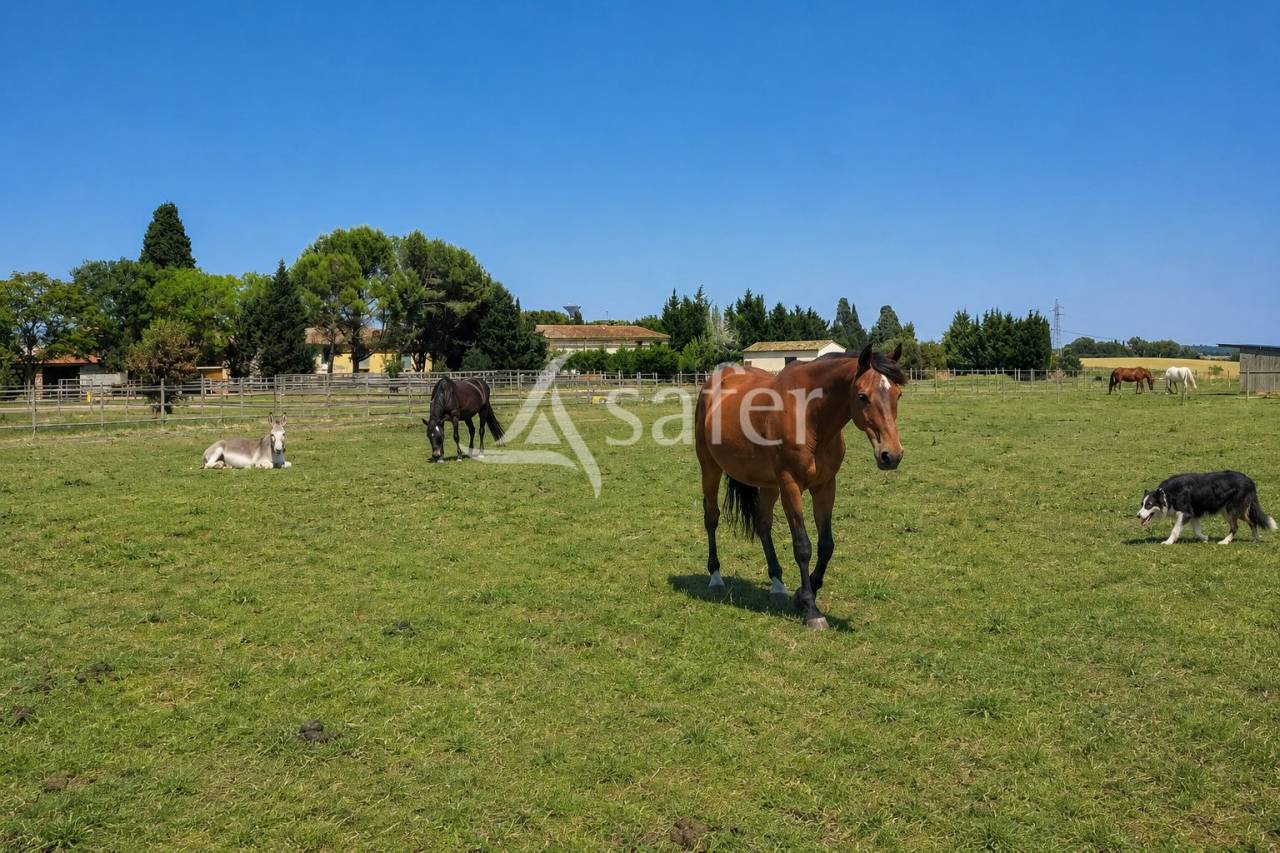 Propriet&agrave; equestre In vendita Aude