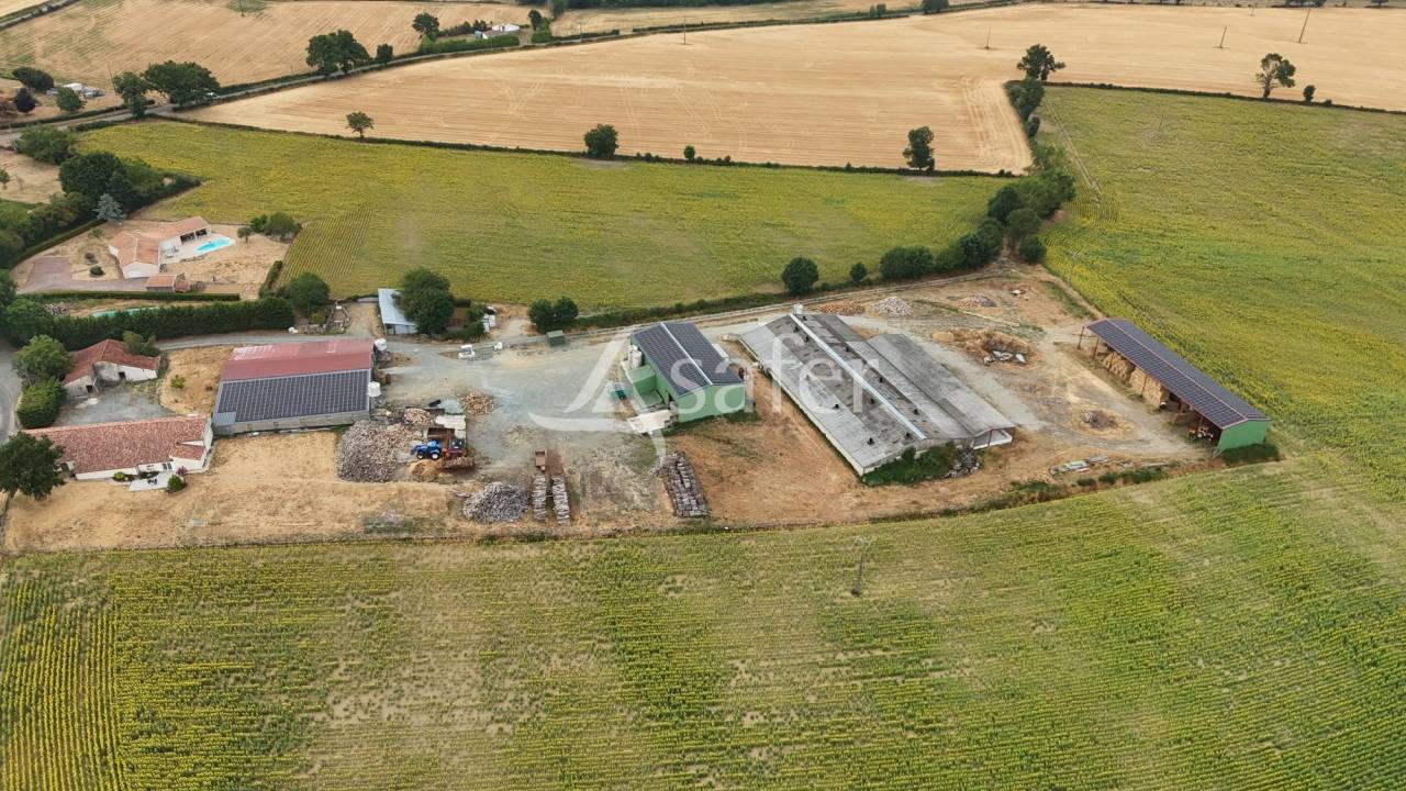 Azienda suina In vendita Vend&eacute;e
