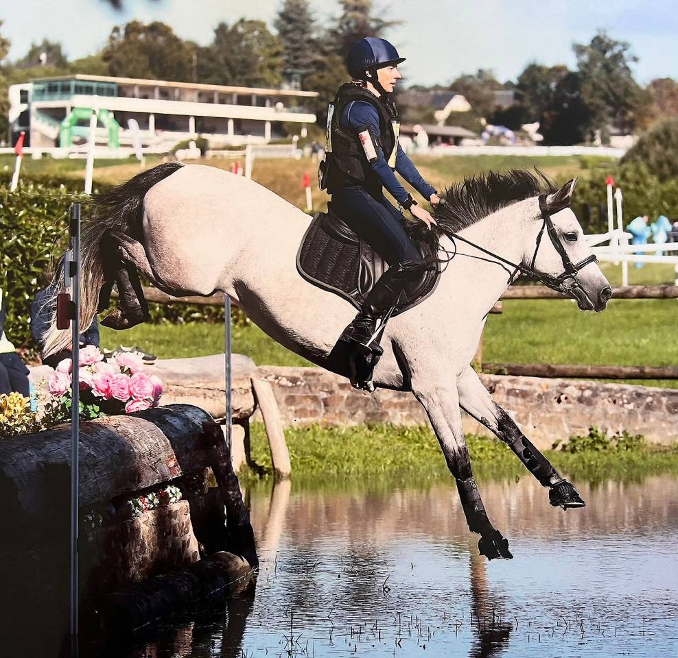 Cavalla Connemara In vendita 2018 Grigio