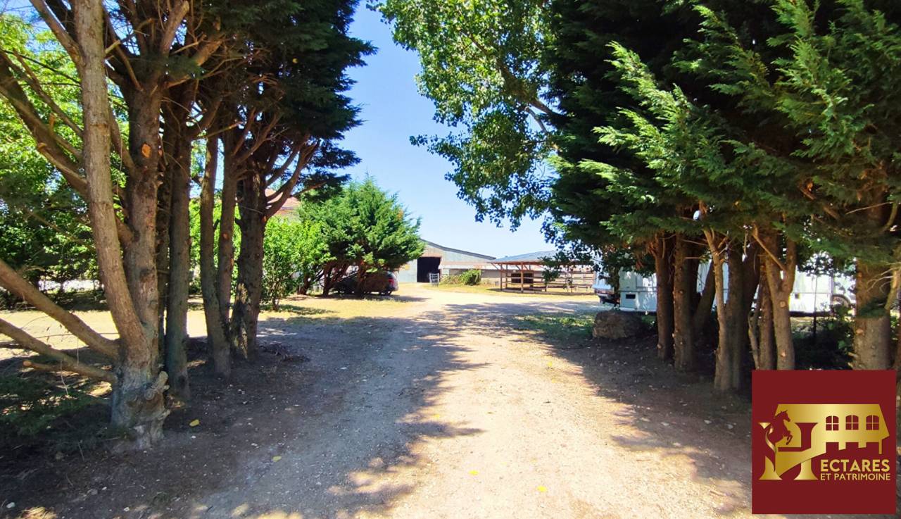 Scuderia per proprietari In vendita Sa&ocirc;ne-et-Loire