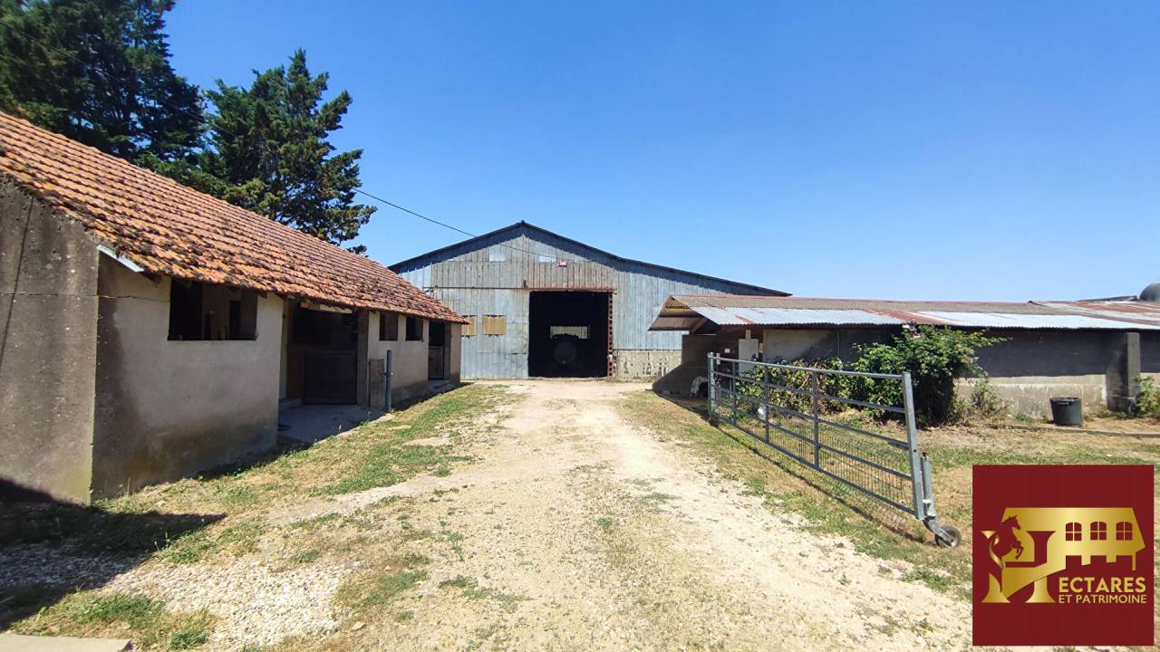 Scuderia per proprietari In vendita Sa&ocirc;ne-et-Loire