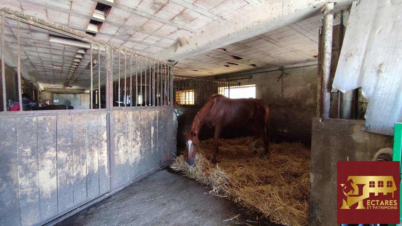 Scuderia per proprietari In vendita Sa&ocirc;ne-et-Loire