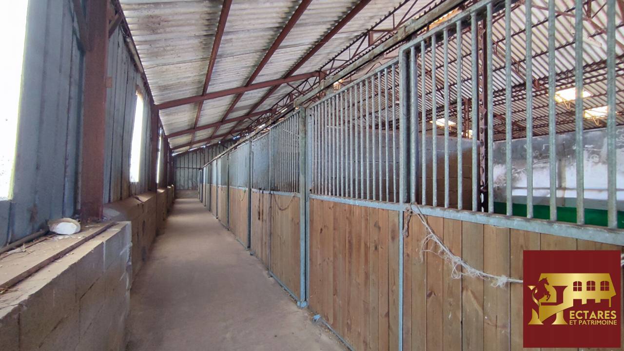 Scuderia per proprietari In vendita Sa&ocirc;ne-et-Loire