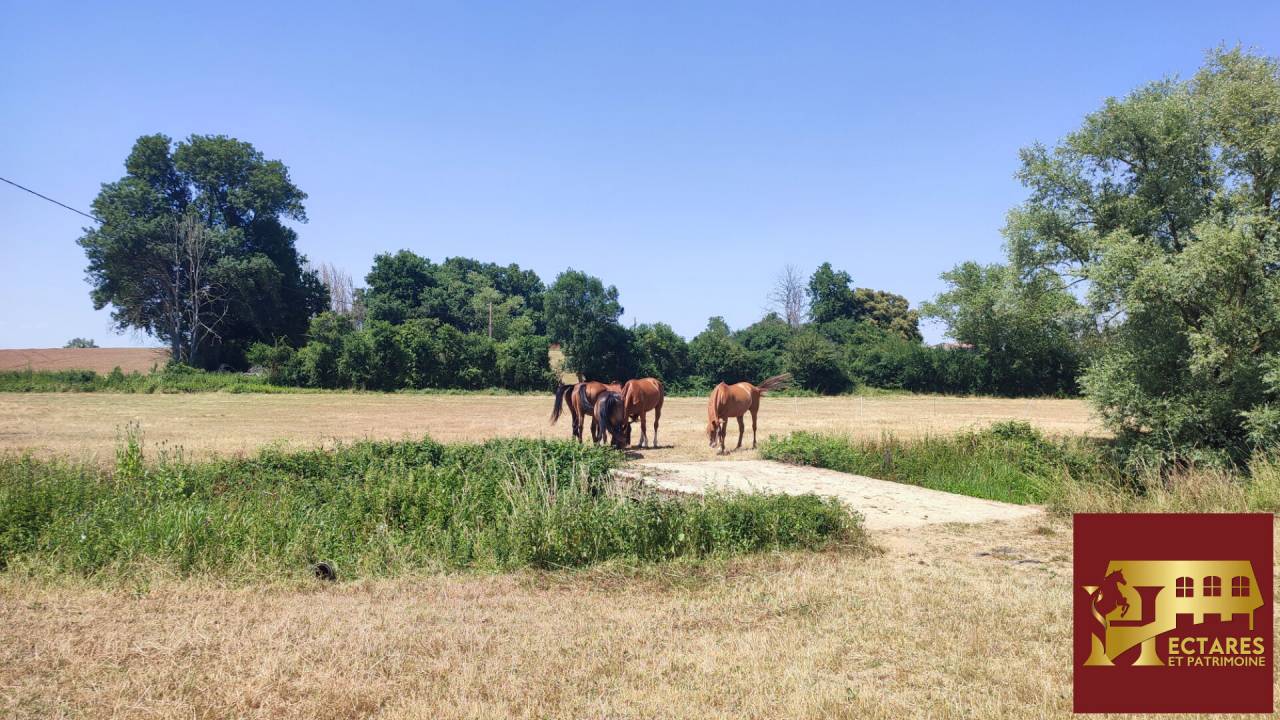 Scuderia per proprietari In vendita Sa&ocirc;ne-et-Loire