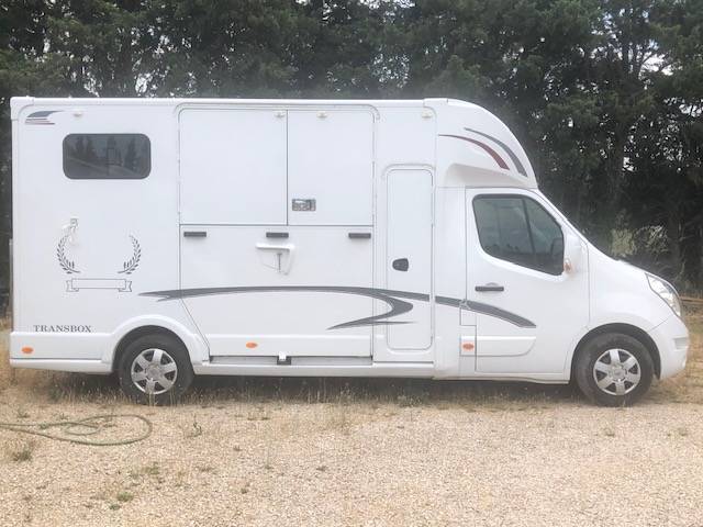 Van per Cavalli Trans Box sv 5 2019 Occasione