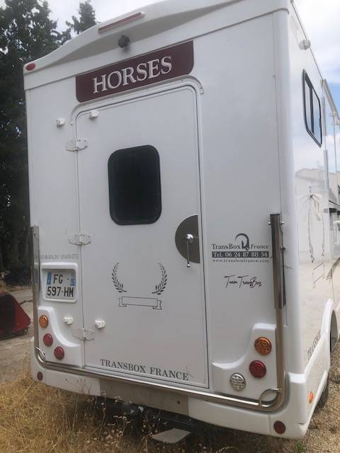 Van per Cavalli Trans Box sv 5 2019 Occasione
