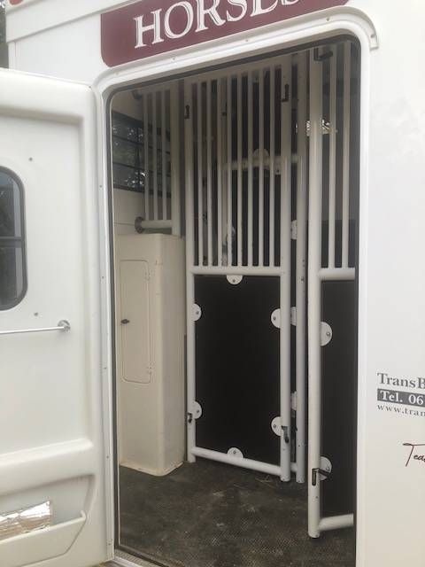 Van per Cavalli Trans Box sv 5 2019 Occasione