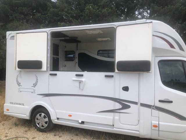 Van per Cavalli Trans Box sv 5 2019 Occasione