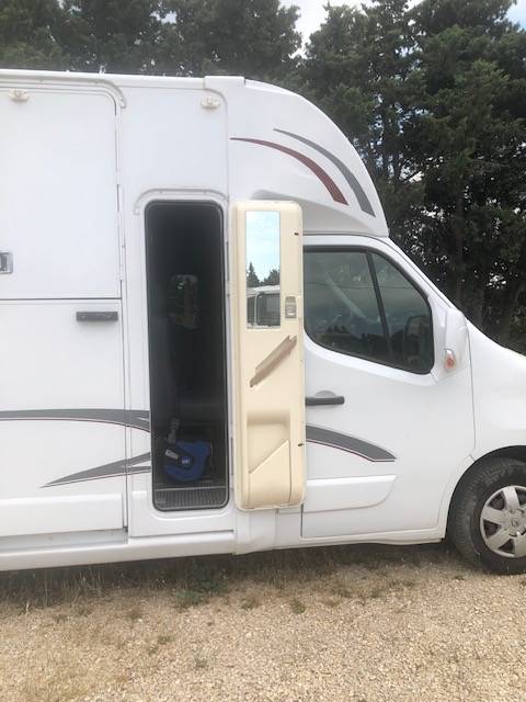 Van per Cavalli Trans Box sv 5 2019 Occasione