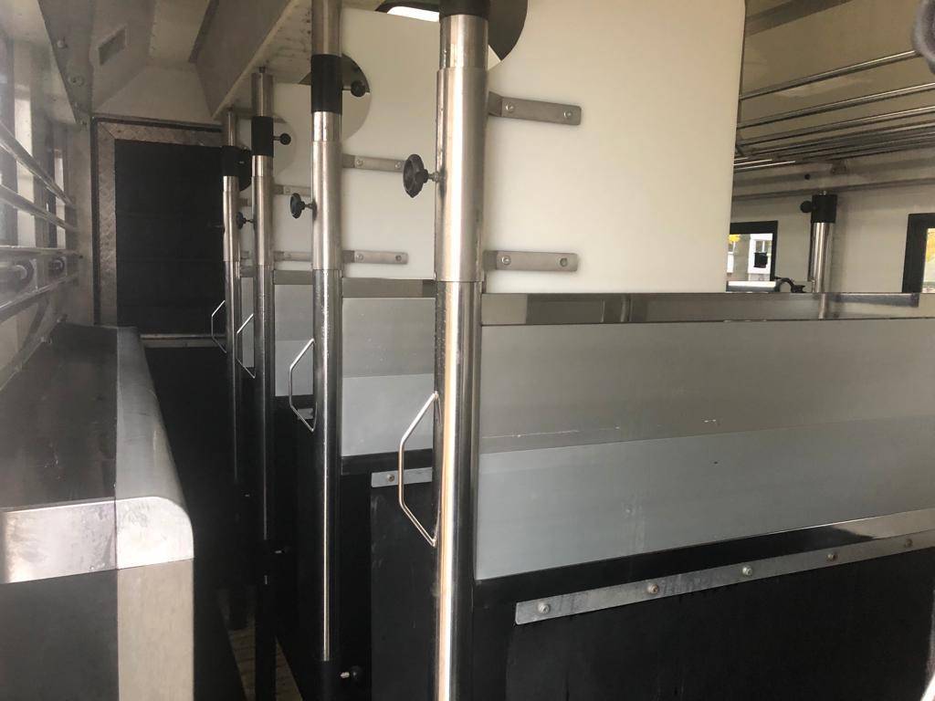 VAN MERCEDES ACTROS TRASPORTO 6 CAVALLI anno 2015